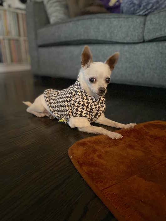 Crouton