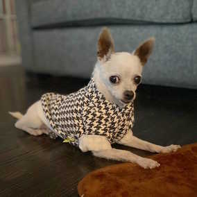 Crouton