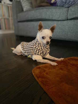 Crouton