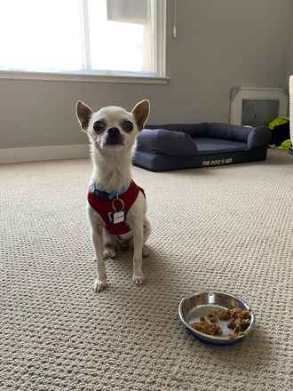Crouton