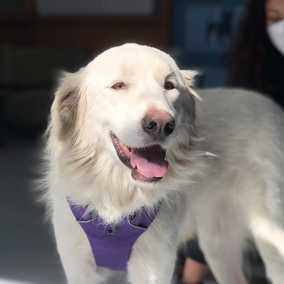 Gwen