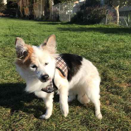 Maggie