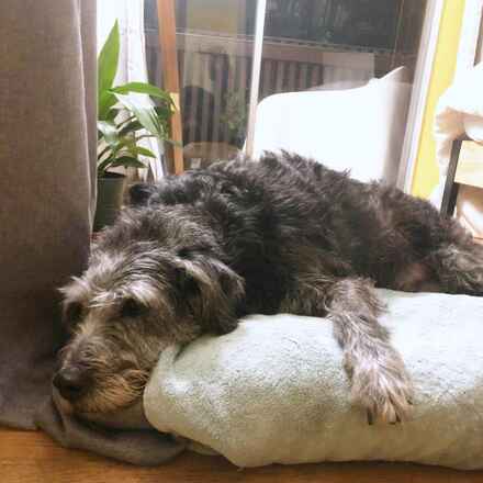 Tuck