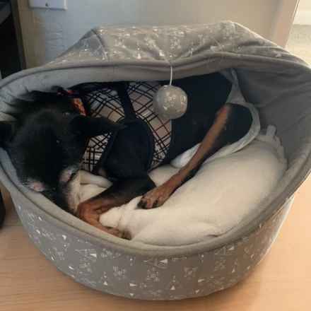 Cozy