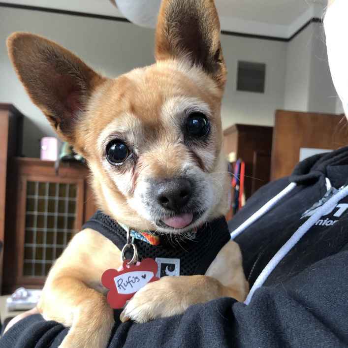 Rufus