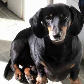 Buster