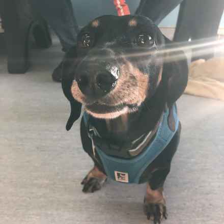 Buster