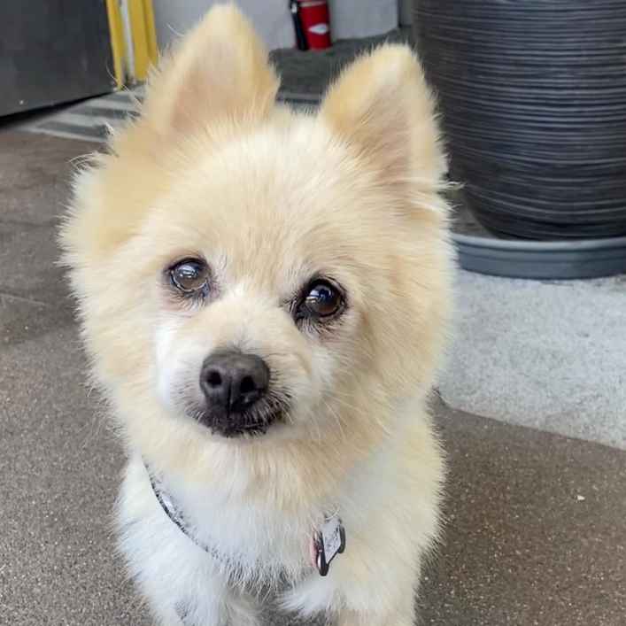 Quincy