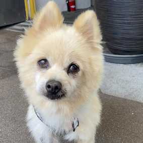 Quincy