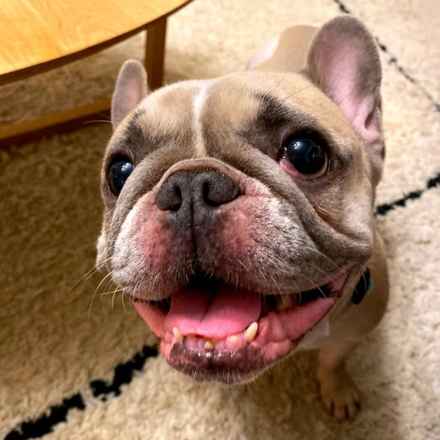 Smiley