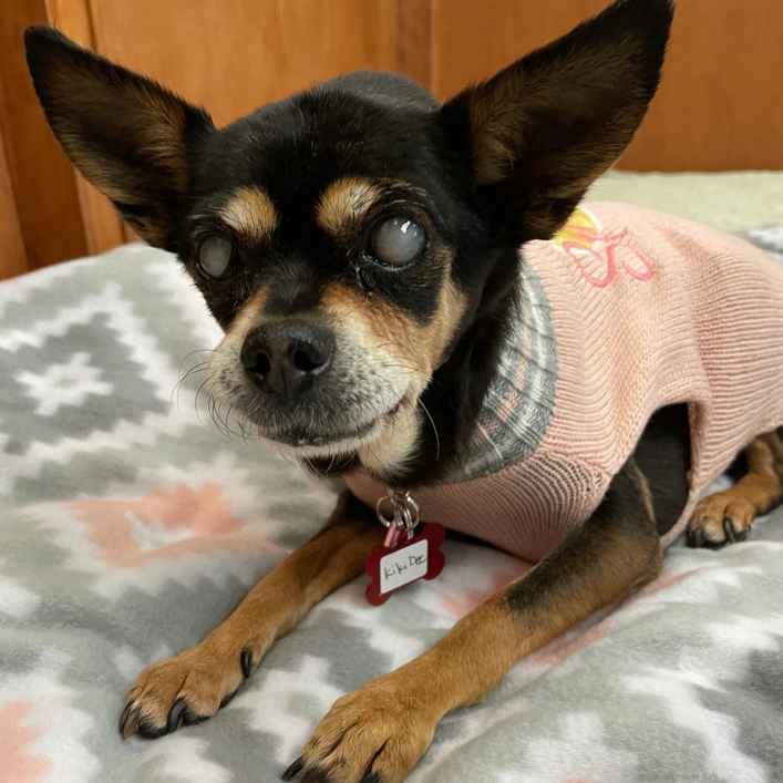 Kiki Dee