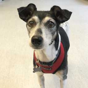 Bonnie