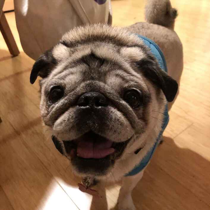 Doug