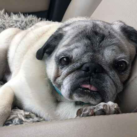 Doug