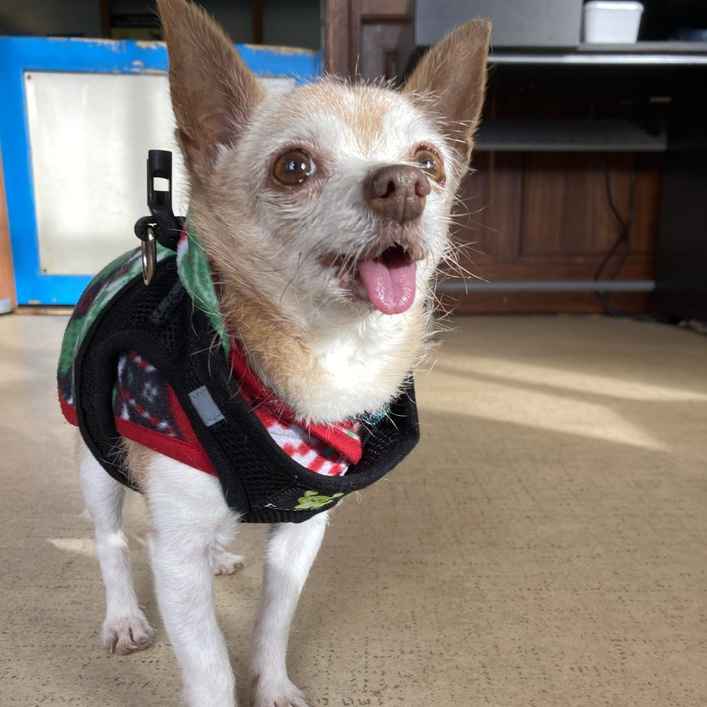 Artie