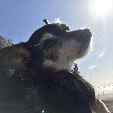 Lola