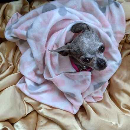 Vickie Nuggie