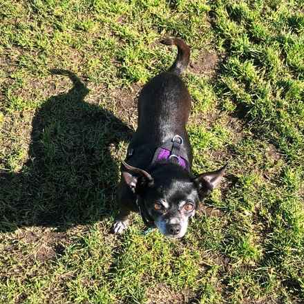 Teagan