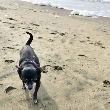 Teagan