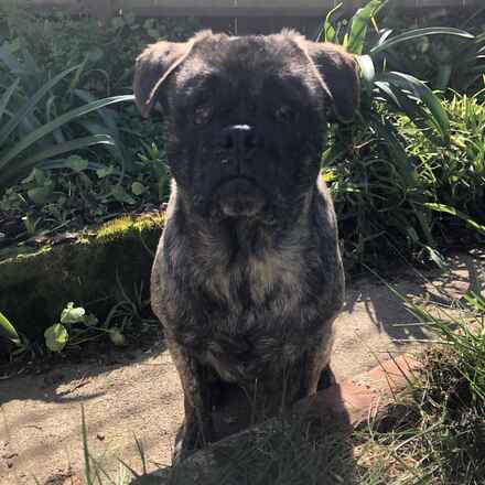 Wilbur
