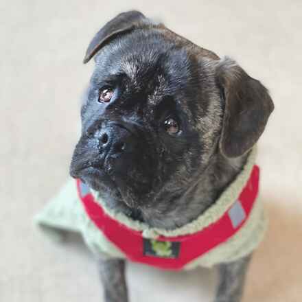Wilbur