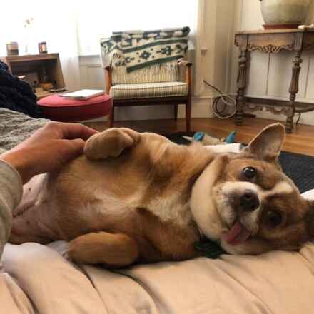 Dreamy Mimi