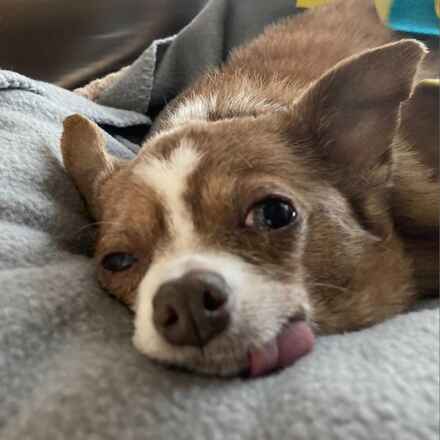Dreamy Mimi