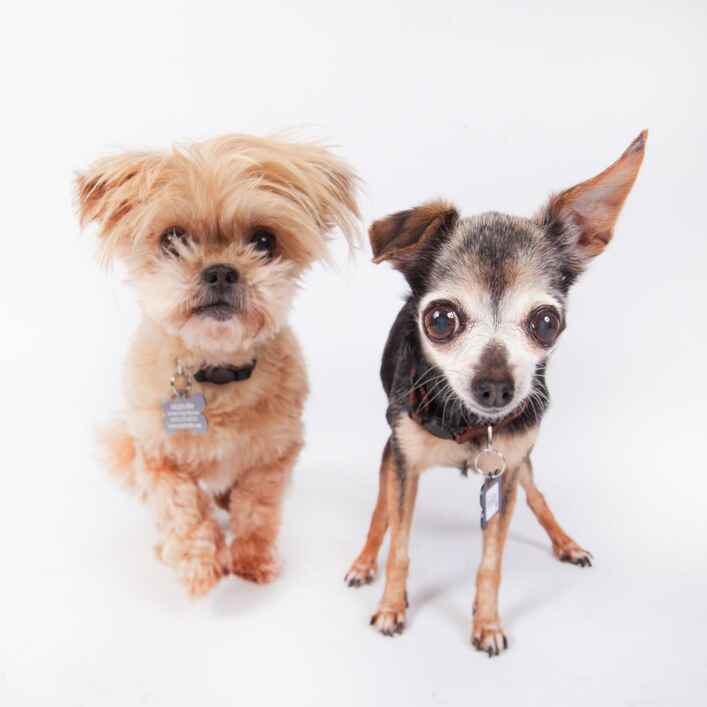 Polka & Dottie