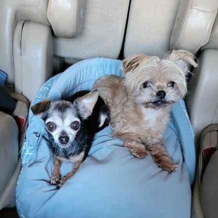 Polka & Dottie