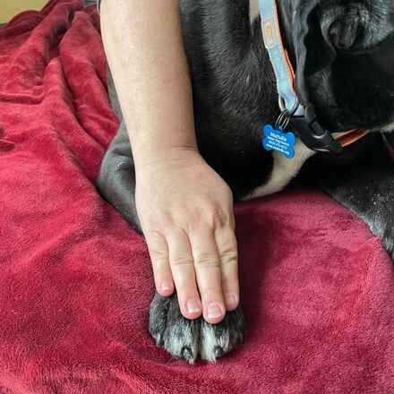 Dozer