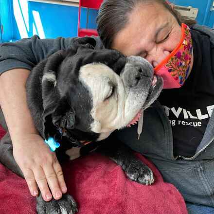 Dozer