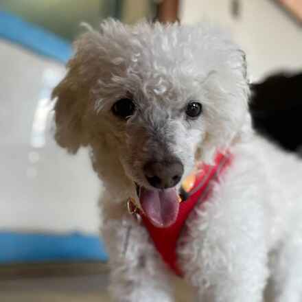 Billy