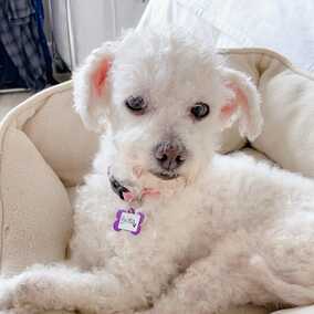 Britta