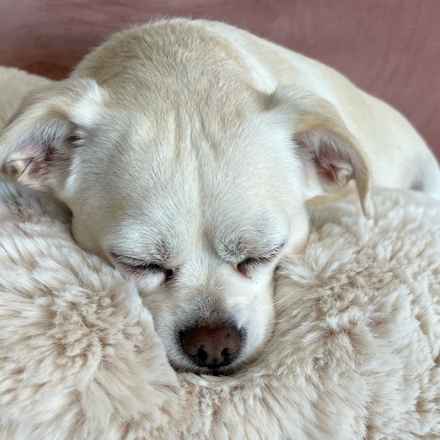 Billie Girl & Cowboy