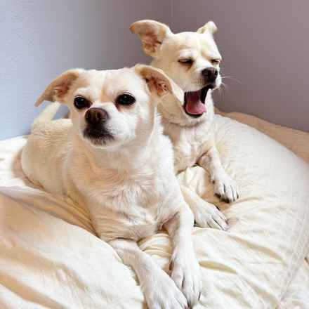 Billie Girl & Cowboy