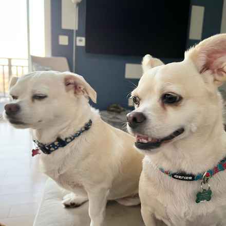 Billie Girl & Cowboy