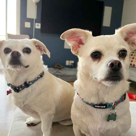 Billie Girl & Cowboy