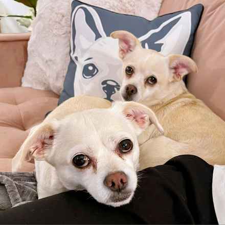 Billie Girl & Cowboy