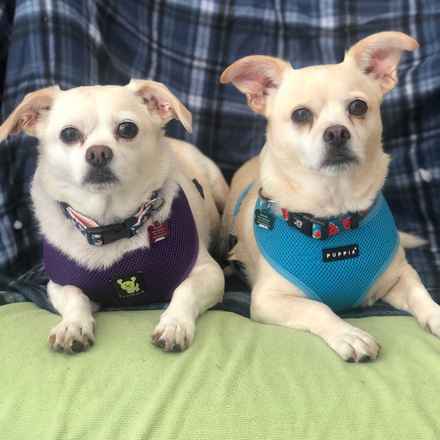 Billie Girl & Cowboy