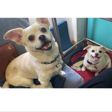 Billie Girl & Cowboy