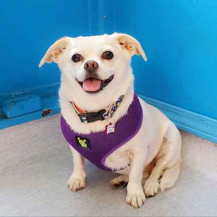 Billie Girl & Cowboy