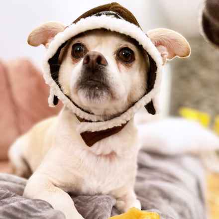 Billie Girl & Cowboy