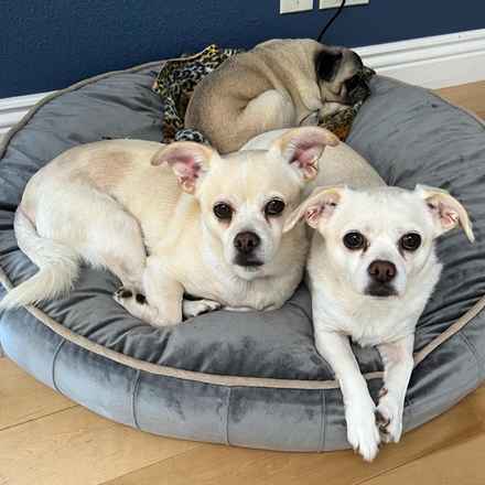 Billie Girl & Cowboy