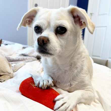 Billie Girl & Cowboy