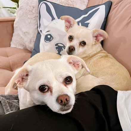 Billie Girl & Cowboy