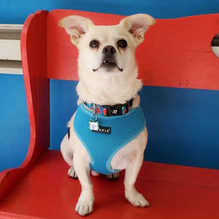 Billie Girl & Cowboy