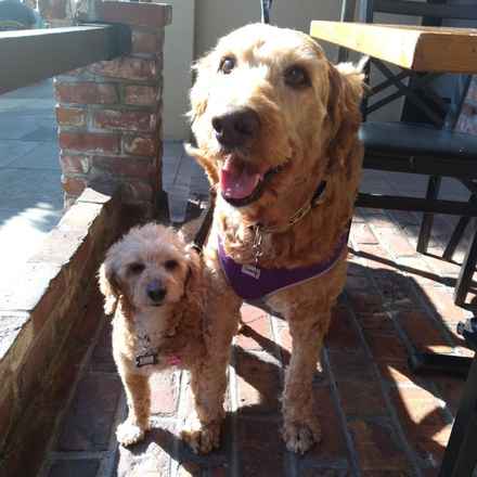 Bella Banana & Leelee