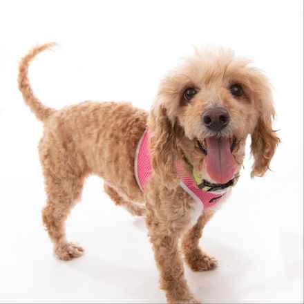 Bella Banana & Leelee