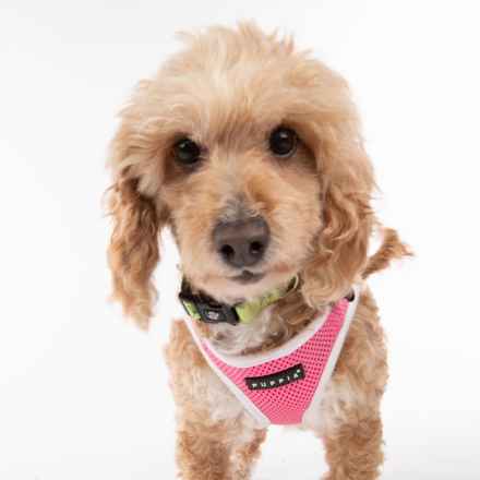 Bella Banana & Leelee