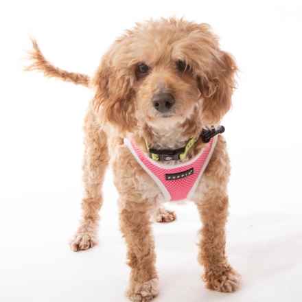 Bella Banana & Leelee